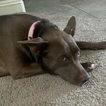 Thumbnail photo of MARGO #4