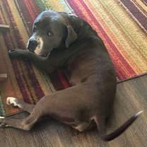 Thumbnail photo of Olive #3