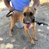 Thumbnail photo of SHEENA #3