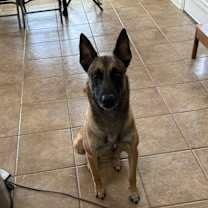 Thumbnail photo of Kruz #2