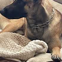 Thumbnail photo of Kruz #3