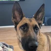 Thumbnail photo of Zara #2