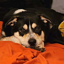 Thumbnail photo of Jerry #3