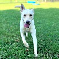 Thumbnail photo of Rotel #1