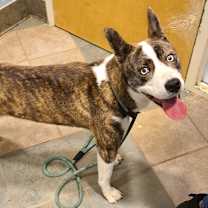 Thumbnail photo of Princess Mindy #2