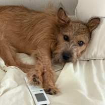 Thumbnail photo of Giri #1