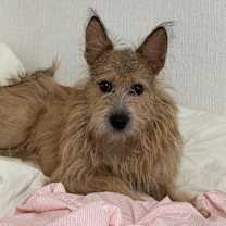 Thumbnail photo of Giri #3