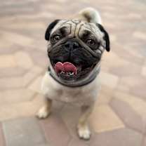 Thumbnail photo of Leroy Brown #1