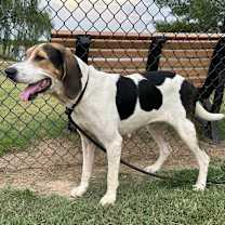 Thumbnail photo of Cindy Lou #4