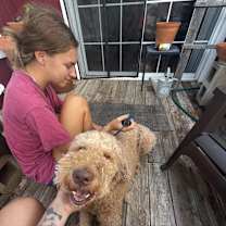 Thumbnail photo of Goose #4