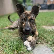 Thumbnail photo of River #2