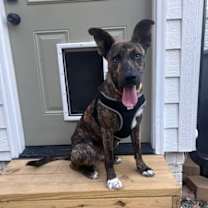 Thumbnail photo of River #3