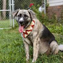 Thumbnail photo of Riley #2