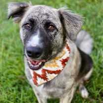 Thumbnail photo of Riley #3