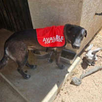 Thumbnail photo of Audrey #3