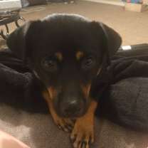 Thumbnail photo of Rusty MC #2