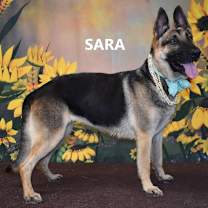 Thumbnail photo of Sara #1