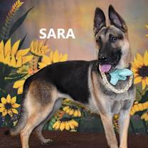 Thumbnail photo of Sara #3