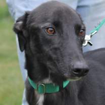 Thumbnail photo of Magic #2