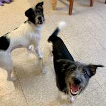 Thumbnail photo of Thelma & Louise #1