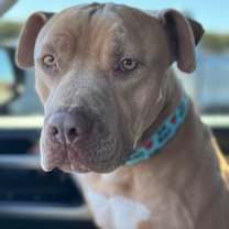 Thumbnail photo of Martian #2