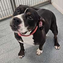 Thumbnail photo of Penny #4