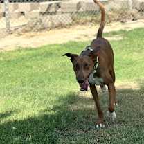 Thumbnail photo of Halo #2