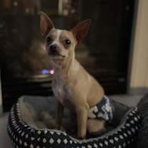 Thumbnail photo of Tony #1