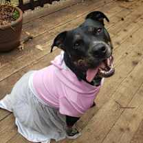 Thumbnail photo of Loba #2