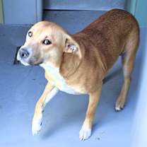 Thumbnail photo of THELMA #4