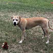 Thumbnail photo of Breaker #3