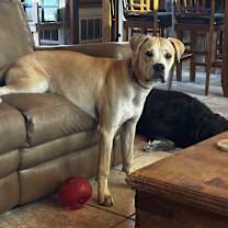 Thumbnail photo of Breaker #4