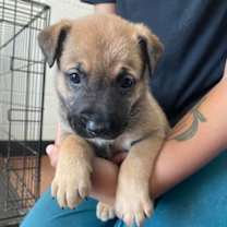 Thumbnail photo of Hermoine #2