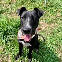 Thumbnail photo of Galvin #2