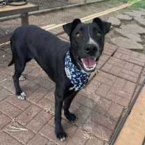 Thumbnail photo of Galvin #3