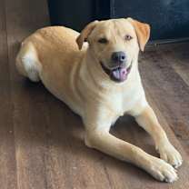 Thumbnail photo of Oliver #2