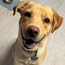 Thumbnail photo of Oliver #3