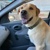 Thumbnail photo of Oliver #4