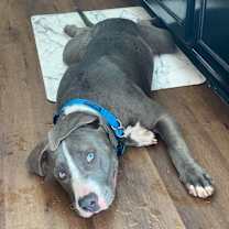 Thumbnail photo of Jack #1