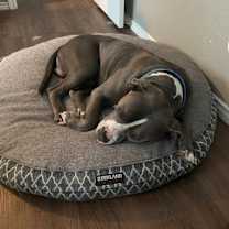 Thumbnail photo of Jack #4