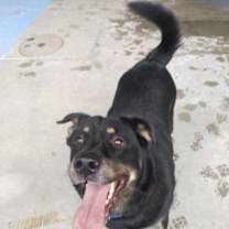 Thumbnail photo of Minerva #3