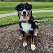 Thumbnail photo of Willa #1