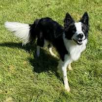 Thumbnail photo of Earl #1