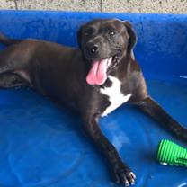 Thumbnail photo of Ocean #1