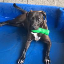 Thumbnail photo of Ocean #2