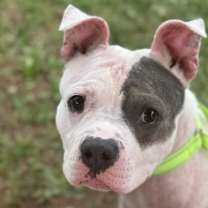 Thumbnail photo of Mackenzie #1