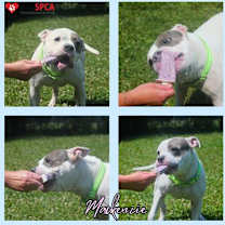 Thumbnail photo of Mackenzie #2