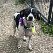 Thumbnail photo of Paris Taylor #1