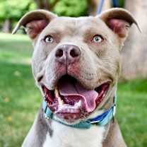 Thumbnail photo of Jimmy #1