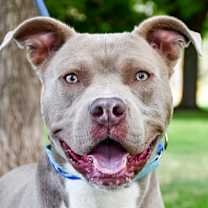 Thumbnail photo of Jimmy #2